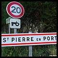 Saint-Pierre-en-Port 76 - Jean-Michel Andry.jpg