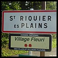 Saint-Riquier-ès-Plains 76 - Jean-Michel Andry.jpg