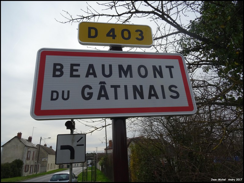 Beaumont-du-Gâtinais 77 - Jean-Michel Andry.jpg