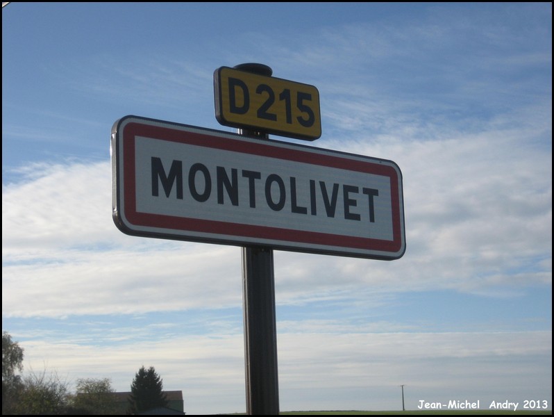 Montolivet 77 - Jean-Michel Andry.jpg