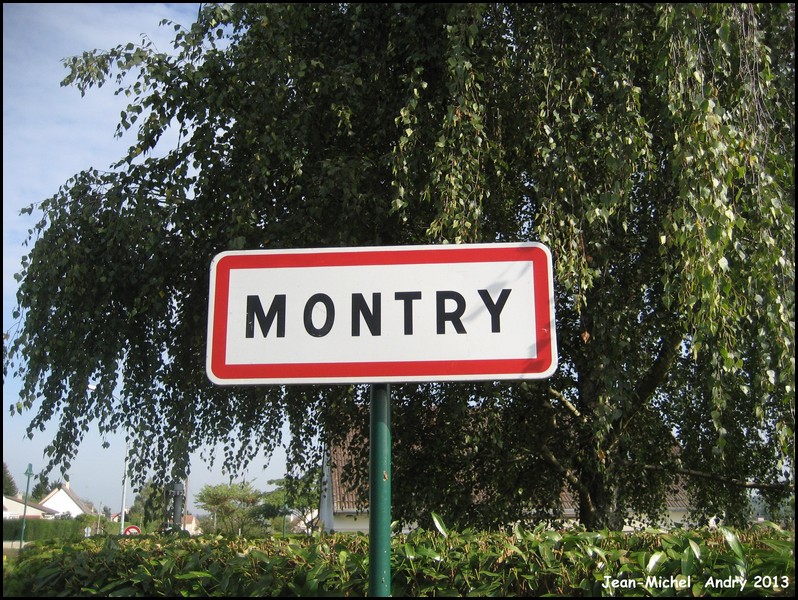 Montry 77 - Jean-Michel Andry.jpg