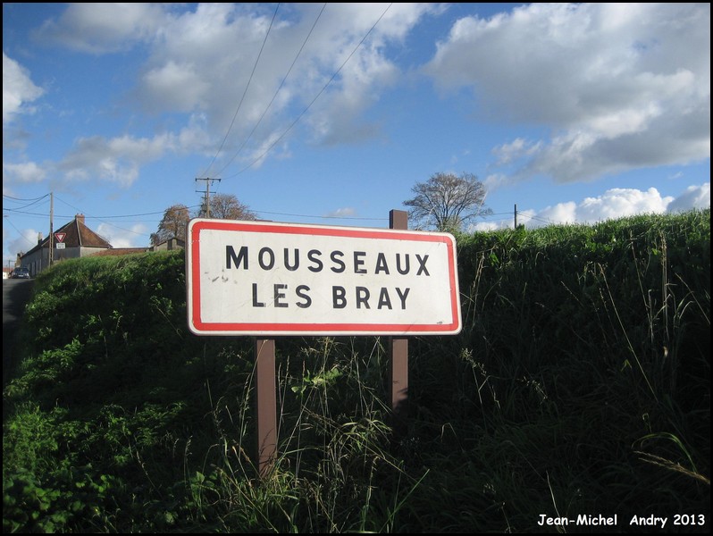 Mousseaux-lès-Bray 77 - Jean-Michel Andry.jpg