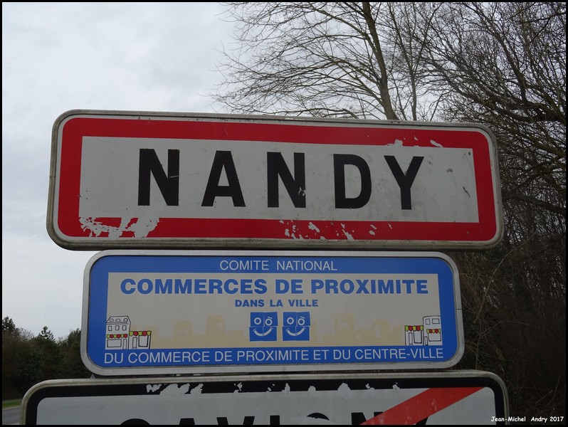 Nandy 77 - Jean-Michel Andry.jpg