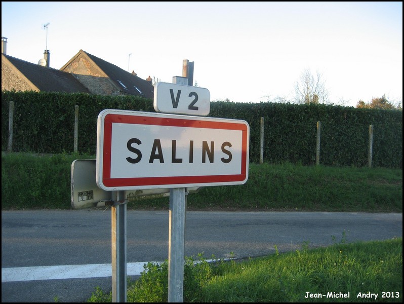 Salins 77 - Jean-Michel Andry.jpg