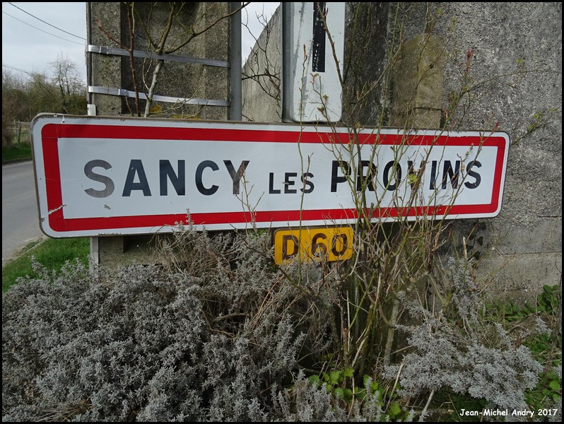 Sancy-lès-Provins 77 - Jean-Michel Andry.jpg