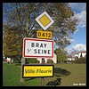 Bray-sur-Seine 77 - Jean-Michel Andry.jpg