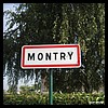 Montry 77 - Jean-Michel Andry.jpg