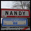 Nandy 77 - Jean-Michel Andry.jpg