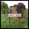 Saâcy-sur-Marne 77- Jean-Michel Andry.jpg