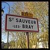Saint-Sauveur-lès-Bray 77 - Jean-Michel Andry.jpg