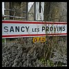 Sancy-lès-Provins 77 - Jean-Michel Andry.jpg