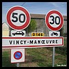 Vincy-Manoeuvre 77 - Jean-Michel Andry.jpg