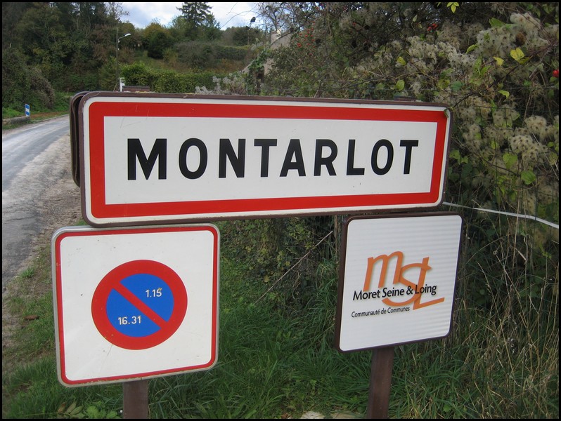2Montarlot 77 - Jean-Michel Andry.jpg