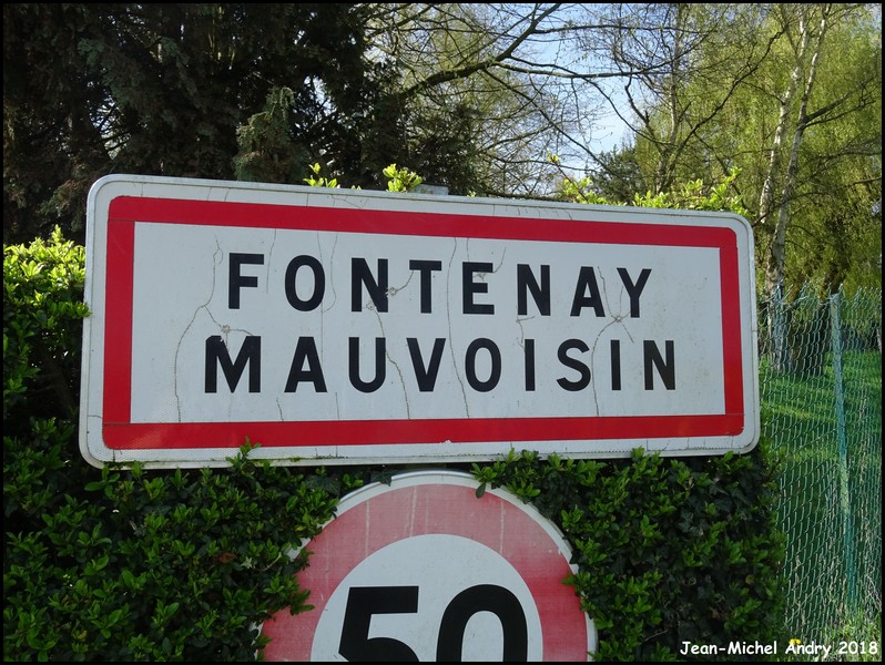 Fontenay-Mauvoisin 78 - Jean-Michel Andry.jpg