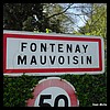 Fontenay-Mauvoisin 78 - Jean-Michel Andry.jpg