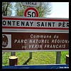 Fontenay-Saint-Père 78 - Jean-Michel Andry.jpg