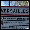 Versailles 78 - Jean-Michel Andry.jpg