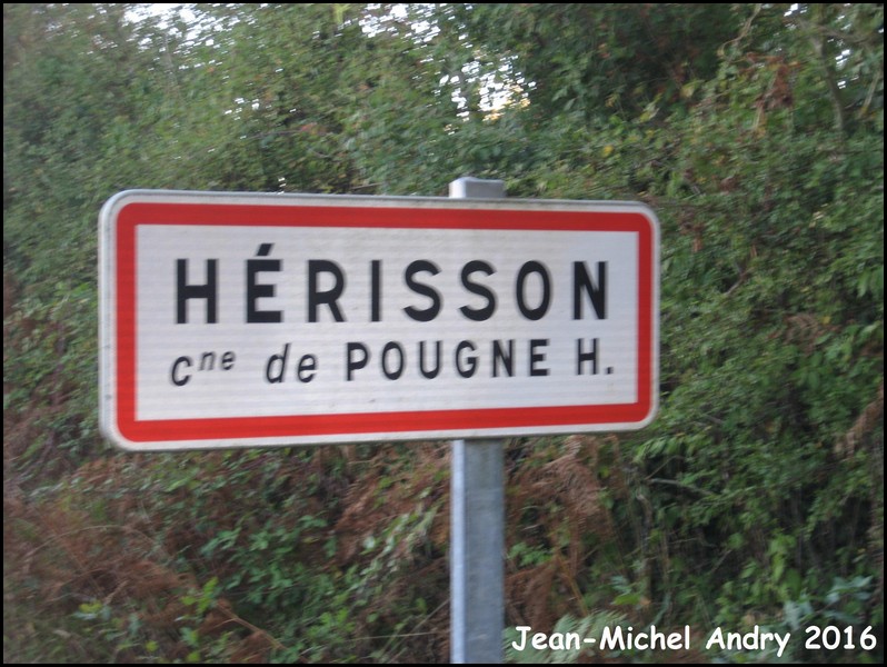 Pougne-Hérisson 2  79 - Jean-Michel Andry.jpg