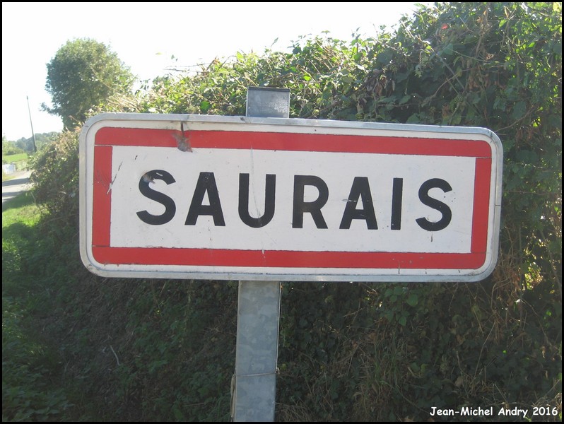 Saurais 79 - Jean-Michel Andry.jpg