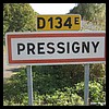 Pressigny 79 - Jean-Michel Andry.jpg