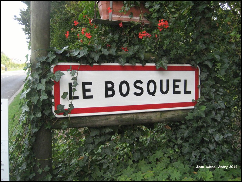 Bosquel 80 - Jean-Michel Andry.jpg