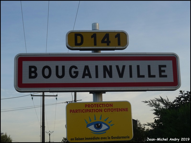 Bougainville 80 - Jean-Michel Andry.jpg