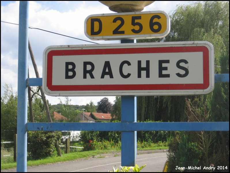 Braches 80 - Jean-Michel Andry.jpg