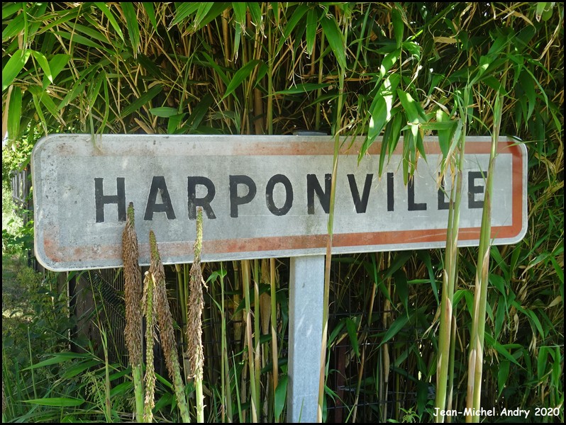Harponville 80 - Jean-Michel Andry.jpg