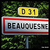 Beauquesne 80 - Jean-Michel Andry.jpg