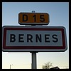 Bernes 80 - Jean-Michel Andry.jpg