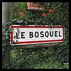 Bosquel 80 - Jean-Michel Andry.jpg