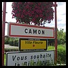 Camon 80 - Jean-Michel Andry.jpg