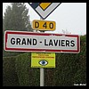 Grand-Laviers 80 - Jean-Michel Andry.jpg