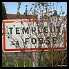 Templeux-la-Fosse 80 - Jean-Michel Andry.jpg