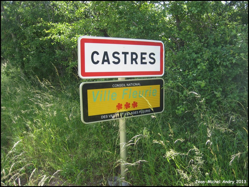 Castres  81 - Jean-Michel Andry.jpg