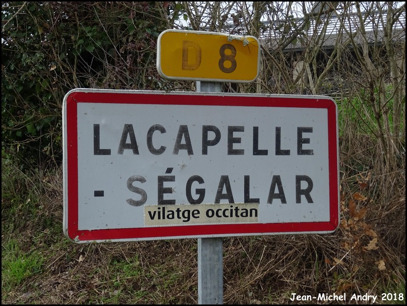 Lacapelle-Ségalar 81 - Jean-Michel Andry.jpg