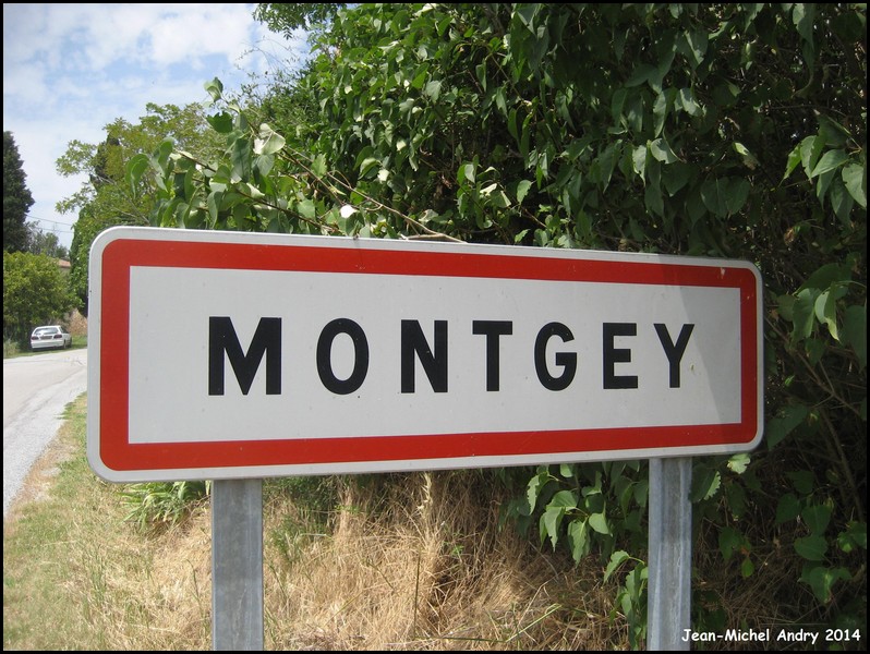 Montgey  81 - Jean-Michel Andry.jpg