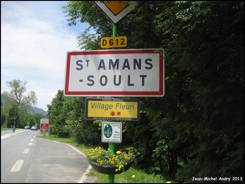 Saint-Amans-Soult  81 - Jean-Michel Andry.jpg