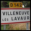Villeneuve-lès-Lavaur  81 - Jean-Michel Andry.jpg