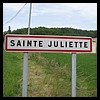 Sainte-Juliette 82 - Jean-Michel Andry.jpg