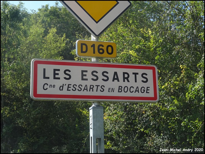 Essarts en Bocage 85 - Jean-Michel Andry.jpg