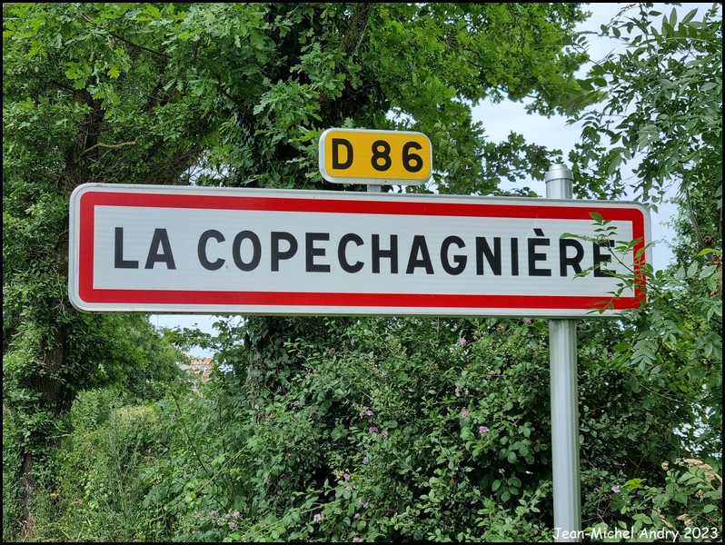 La Copechagniere 85 - Jean-Michel Andry.jpg