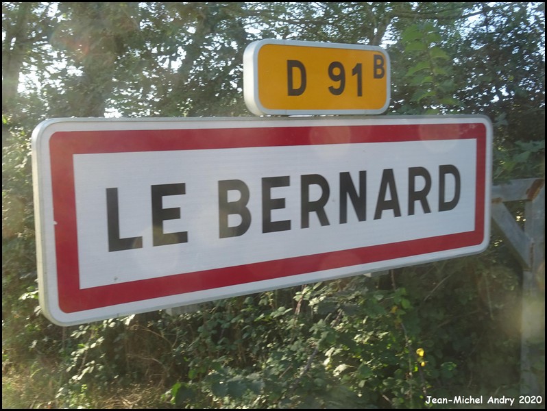 Le Bernard 85 - Jean-Michel Andry.jpg