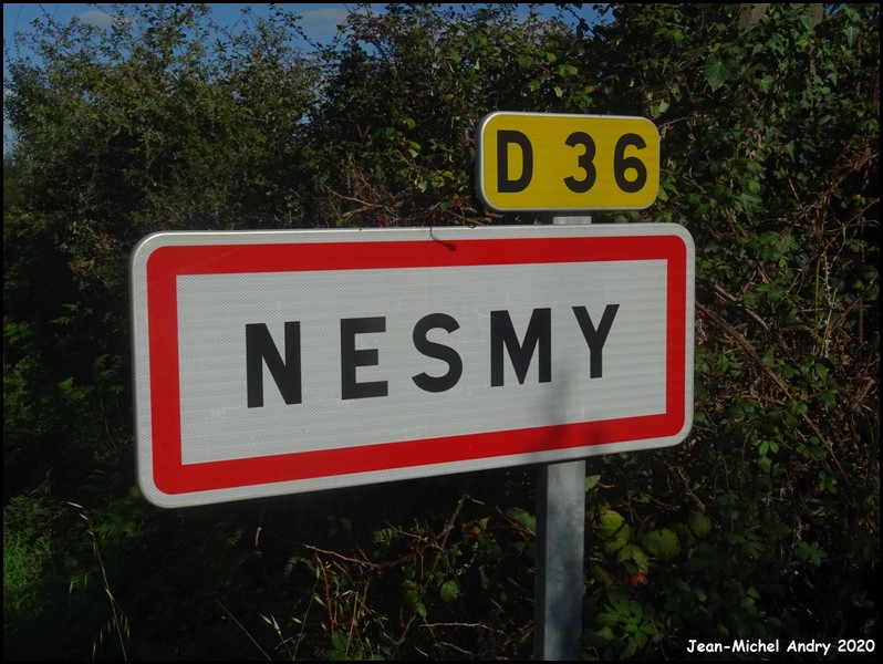 Nesmy 85 - Jean-Michel Andry.jpg