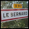 Le Bernard 85 - Jean-Michel Andry.jpg