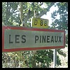 Les Pineaux 85 - Jean-Michel Andry.jpg