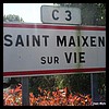 Saint-Maixent-sur-Vie 85 - Jean-Michel Andry.jpg