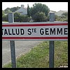 Tallud-Sainte-Gemme 85 - Jean-Michel Andry.jpg