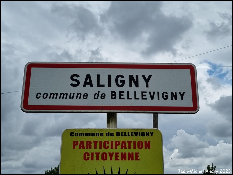 1Saligny  85 - Jean-Michel Andry.jpg
