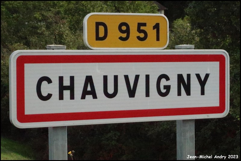 Chauvigny 86 - Jean-Michel Andry.jpg